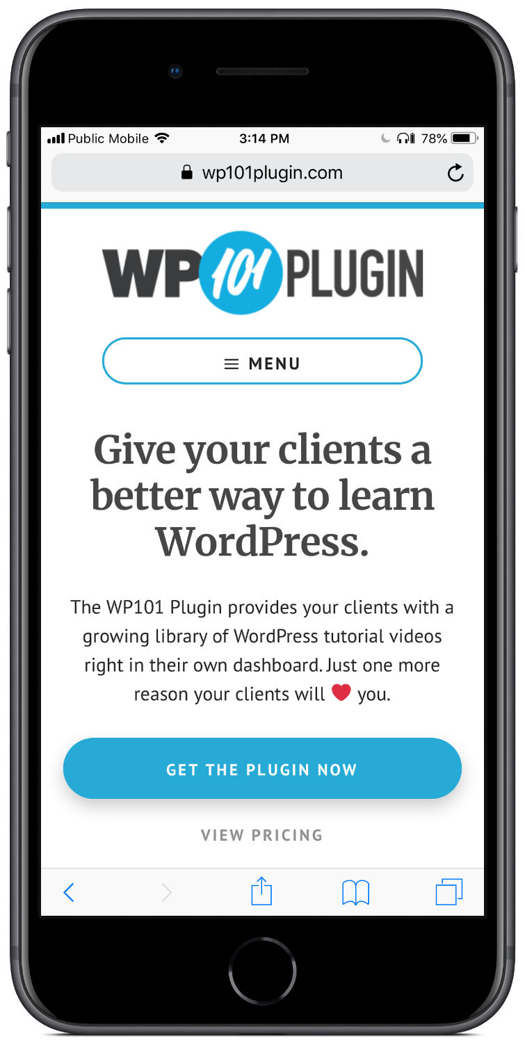 Client Training with WP101