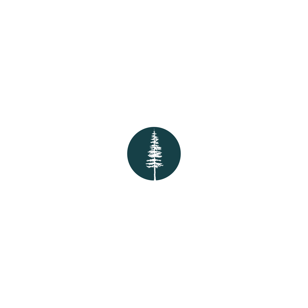 My Bellingham Now app icon