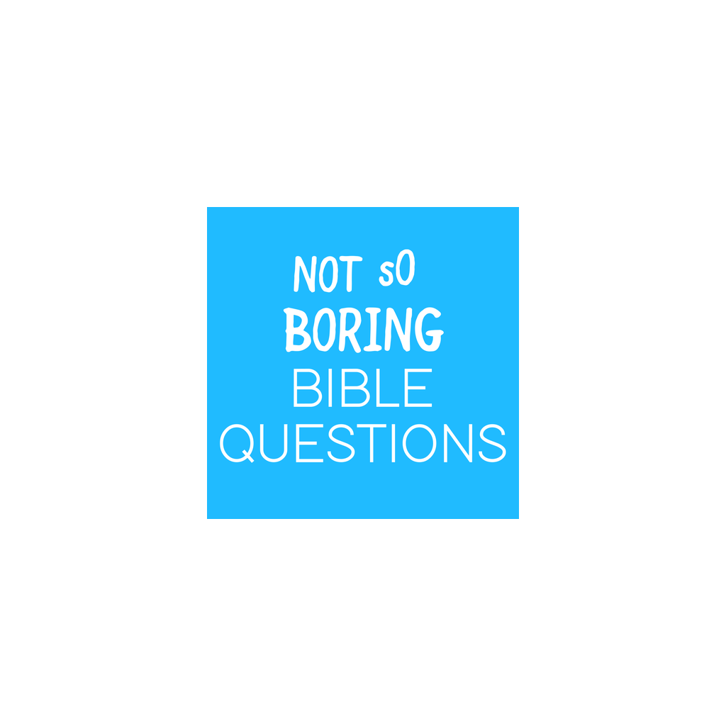 Not So Boring Bible Questions app icon