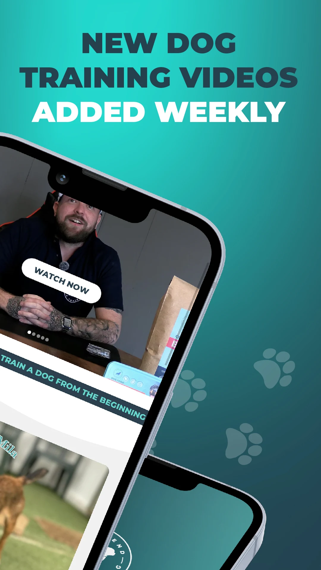 Southend Dog Training app screenshot: New dog training videos added weekly.